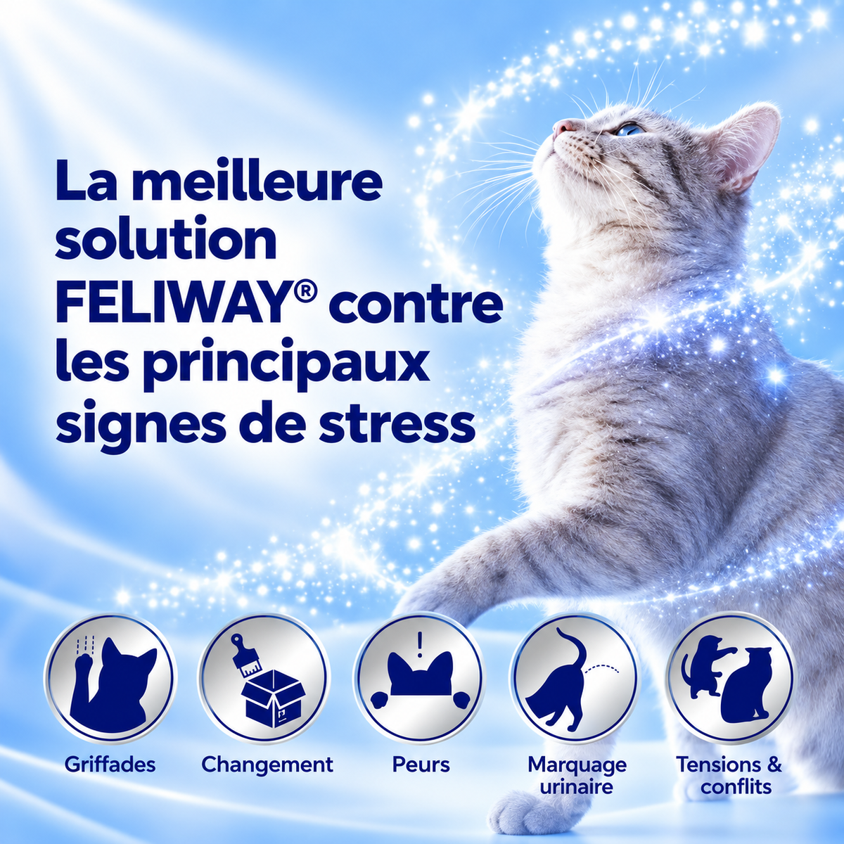 Recharge Felya – Phéromones apaisantes pour chat