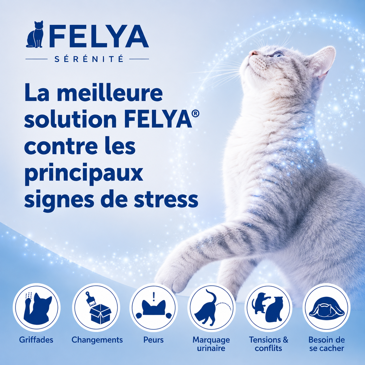 Felya Sérénité — Kit Complet